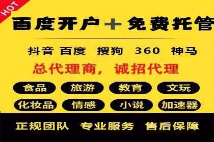 百度竞价广告投放策略：案例分析及优化建议